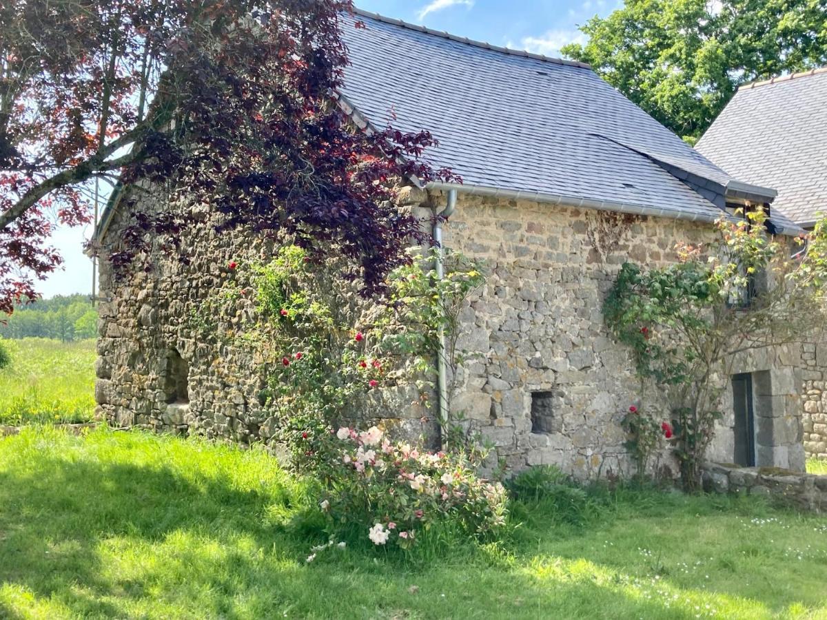 Le Nid De La Breizhidence Villa กงบูร์ก ภายนอก รูปภาพ